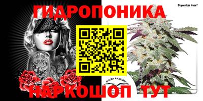 наркотики Гай
