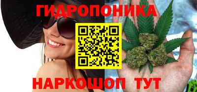 наркотики Гай