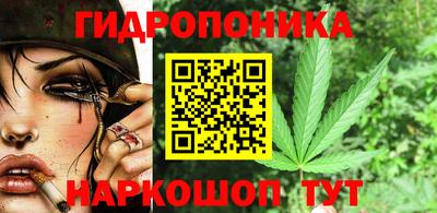 крисы Гагарин