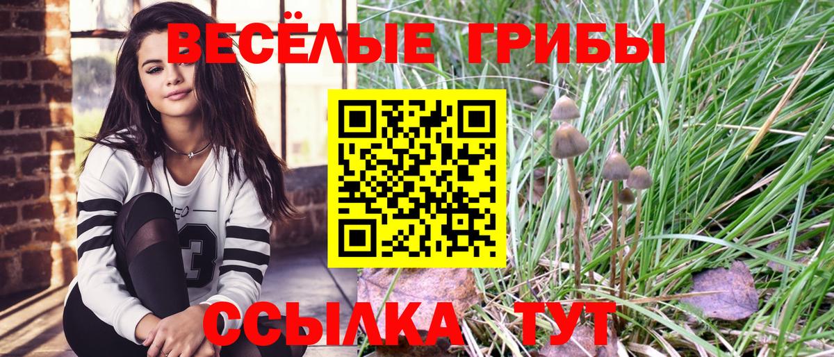 Галлюциногенные грибы GOLDEN TEACHER Заречный